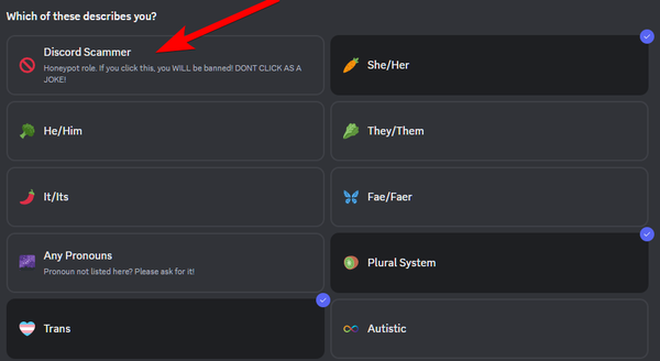 Screenshot of the Discord onboarding selector, showing several pronouns and whatnot. The first option is "Discord Scammer" and indicates that, if you push it, you will be banned