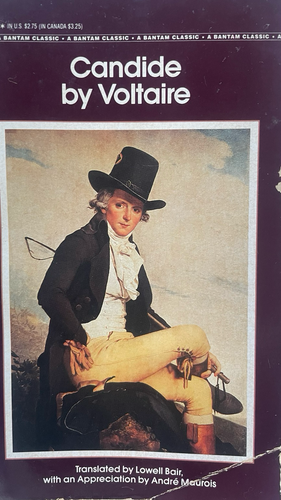 Book cover featuring a fashionable young man of the 18th century 