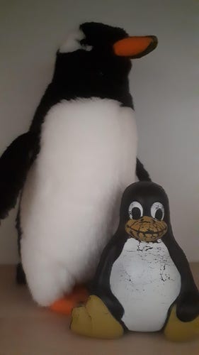 Zdjęcie pluszowego pingwina gentoo i dużo mniejszego od niego, piankowego Tuksa.

Tux jest już dość mocno zniszczony, na dziobie i tuż pod dziobem widoczne są liczne pęknięcia. Siedzi z nogami wyprostowanymi do przodu, które tak jak dziób są żółtawego koloru. Brzuszek ma biały, reszta czarna, ,,łapki" oparte o nóżki.

Większy pingwin stoi, jego dziób jest z boku pomarańczowy. Głowa cała czarna z niewielkim białym paskiem na boku, sięgającym oka. Ma biały brzuszek i czarne skrzydełka. Nóżki, tak jak dziobek są pomarańczowe.