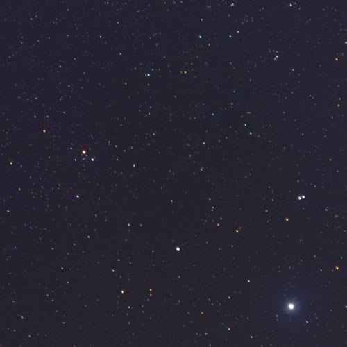 A colorful field of stars, ranging from orange to blue, fading into near black noise, zoomed too much to see commonly recognized constellations. At the very center is a grayish slightly smudgier dot, which the comet. An extremely bright, saturated star at the lower right is Vega. Someone should ask the effing Vegans to turn that shit down