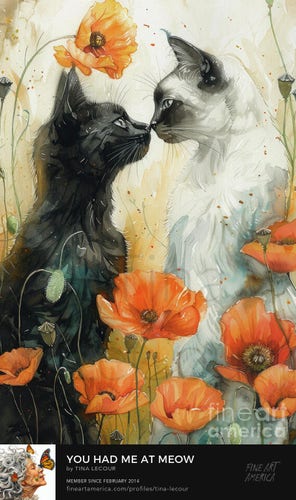 This is a watercolor of a black male kitten and a white female kitten showing affection towards each other touching noses in a garden of orange poppy flowers. 