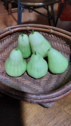 Five bell-shaped green makopa fruits on a woven basket.
