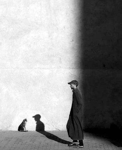 Photography. A black and white photo of a striped cat in front of a white wall and a shadow play. The cat is sitting on the left side on the floor in front of the white wall. In the center, a young man in a black coat and baseball cap walks by. His shadow appears on the wall directly in front of the cat. However, it is only his head and he seems to be talking to it, shrunk to the size of a cat. The right part of the picture is in shadow.