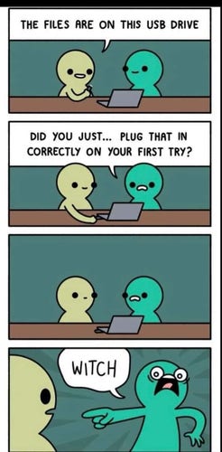 A three-panel comic strip featuring two cartoon characters. In the first panel, one character mentions files on a USB drive. In the second, the other character is surprised that the first character plugged the USB in correctly on the first try. In the third second character calls first one “WITCH!”