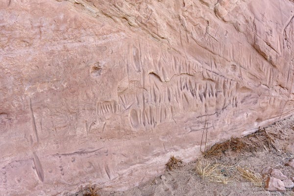 A color photo of the side of a sandstone cliff that was used as a sharpening stone by prehistoric Puebloan peoples in the desert southwest. The sandstone is tan color and shows numerous vertical slices where stone tools were rubbed to refine their edge.