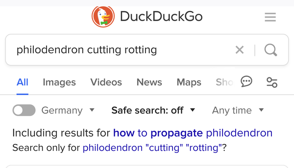 DuckDuckGo!
My query: "philodendron cutting rotting".
The response: "Including results from 'how to propagate philodendron'. Search only 'philodendron double-quotes cutting double-quotes rotting'?"