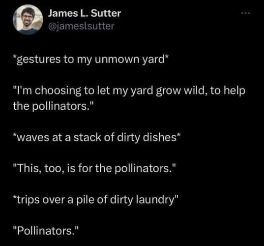 James L. Sutter @jamestsutter *gestures to my unmown yard* "I'm choosing to let my yard grow wild, to help the pollinators." *waves at a stack of dirty dishes* "This, too, is for the pollinators." *trips over a pile of dirty laundry" "Pollinators."