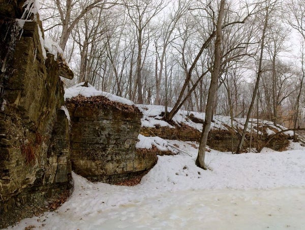 Photo of a snow-covered rocky embankment in a forest.