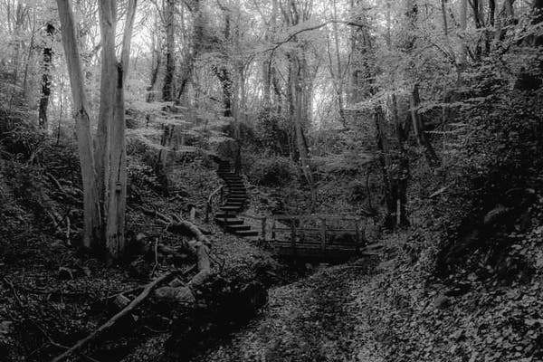 A black and white image of Benthall Edge