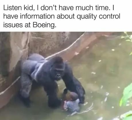 picture of Harambe in the final minutes of his life, standing in front of a toddler. the caption reads: "Listen kid, I don't have much time. I have information about quality control issues at Boeing."