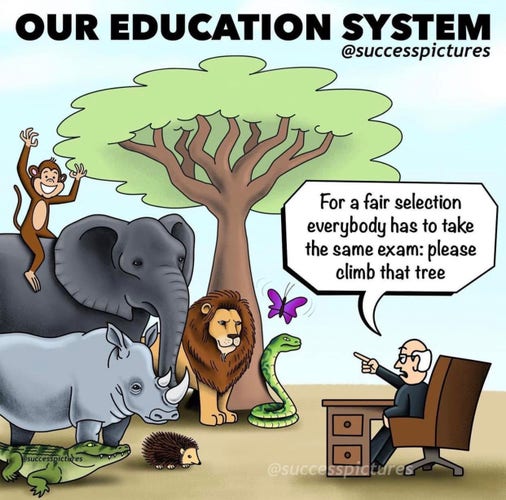 OUR EDUCATION SYSTEM
@successpictures
For a fair selection
everybody has to take
the same exam: please
climb that tree
@successpictures
@successpictures