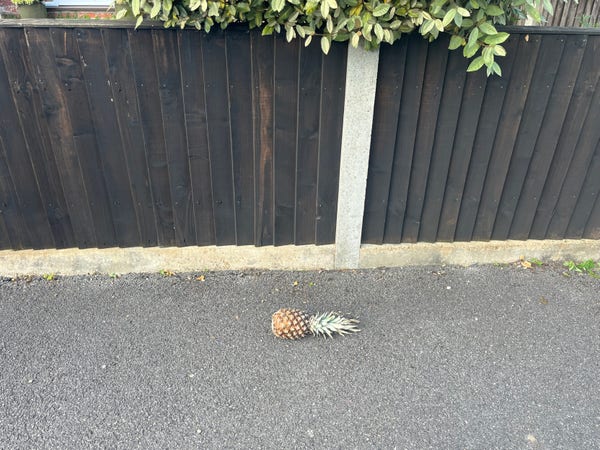 Photo of a pineapple laying on a pavement. 