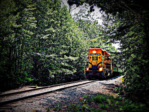 Engine 216 locomotive of the Notch Train in New Hampshire appears in the dense green foliage of the White Mountain National Forest.  The locomotive is painted a bright yellow