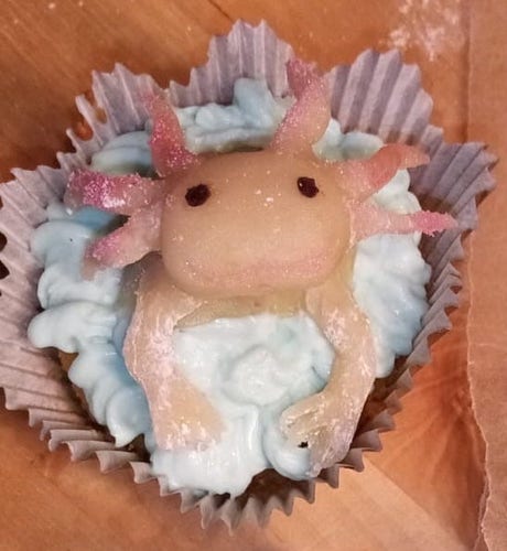 Axolotl cupcake