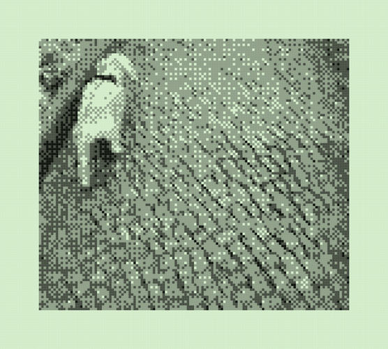 Photo of a poodle on a leash, sniffing something on the edge of the sidewalk, highly pixelated