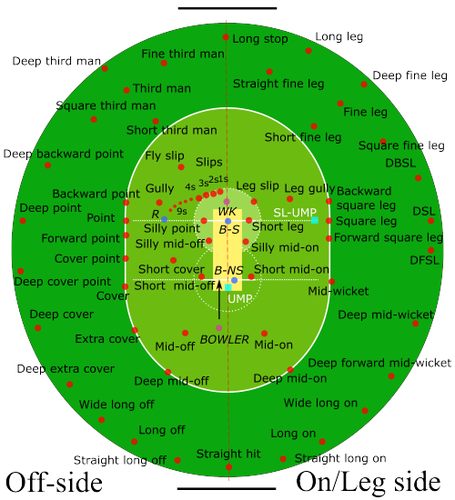 A graphic representation of a cricket pitch that looks vaguely like a vulva. Throughout it are scattered terms like "silly mid on" and "backward square leg"