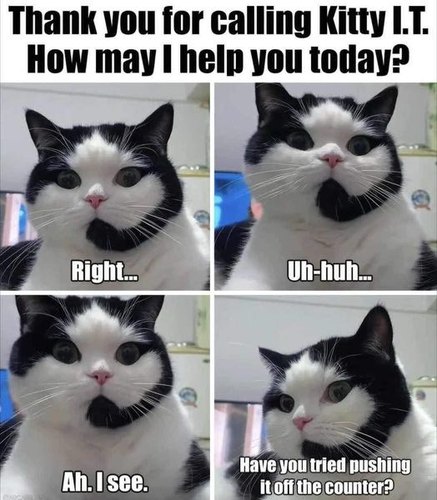 Header: hello this is kitty IT how may I help you? Above four squares of a white cat with black face trim that looks like a head set. 1)Right. 2)uh huh. 3). Okay ….4) Have you tried knocking it off the counter?…