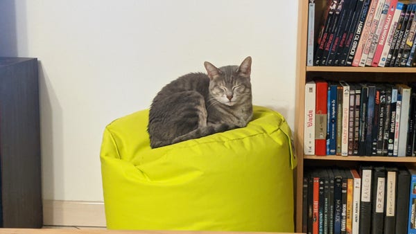 Hâpy, ma chatte siamoise, en position de sphinx sur un pouf jaune, les yeux clos.