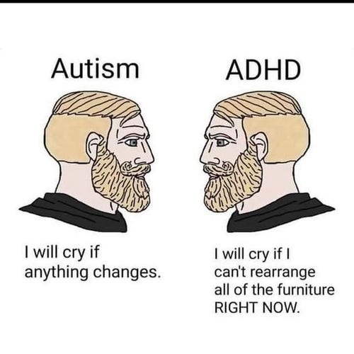 Two illustrated heads that look the same are looking towards each other. The one on the left is labeled Autism and has a caption that reads, “I will cry if anything changes.” The one on the right is labeled ADHD and has a caption that reads, “I  will cry if I can't rearrange all of the furniture RIGHT NOW.”

image by: unknown
