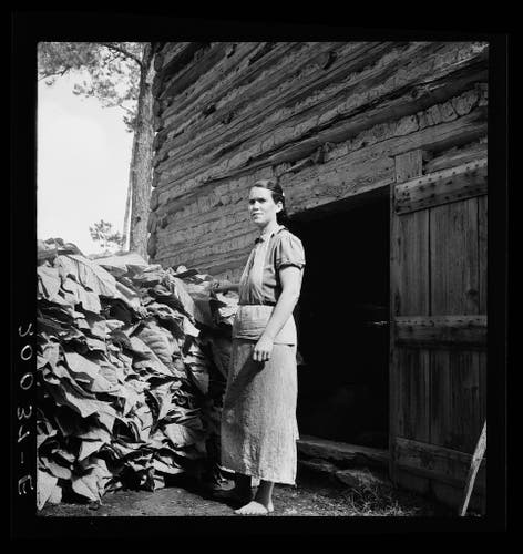  In the black and white photograph, a woman is standing in front of a wooden building. She appears to be engaged in an outdoor activity related to agriculture or farming. The setting suggests it might be a rural area with a barn-like structure, possibly used for storing crops or tools. The woman's stance and the items around her indicate she may be involved in some sort of work that involves piles of material, perhaps related to tobacco cultivation or processing.