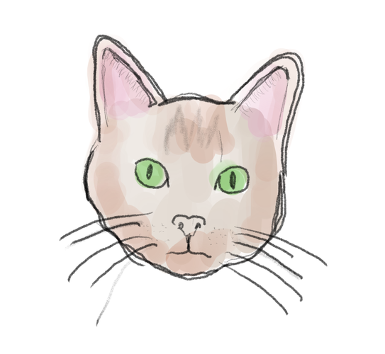 Drawing of a cat create with Procreate and an Apple Pencil.