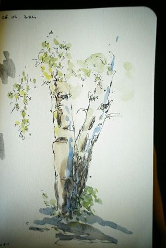 watercolor sketch of a tree