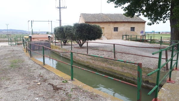 Le canal de Tauste, canal majeur, envoie l'eau dans les petites acequias (canaux mineurs qui vont jusqu'aux champs).