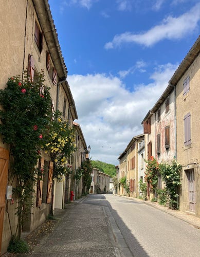 Photo of a village street with cream-coloured stone houses either side. Growing against each house are roses - shrubs, climbers and ramblers - in various colours. The sky is blue with a few white clouds. Swifts and house martins fly overhead.