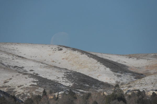 A landscape showing some snow covered hills, pines, and a large, barely visible moon just behind the hills over a bright blue sky