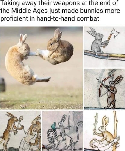 Taking away their weapons at the end of the middle ages just made bunnies more proficient in hand to hand combat