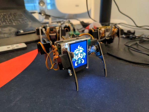 a small spider robot with display in front