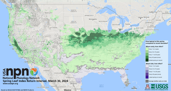 Map of the contiguous United States showing the spring leaf index return interval as of March 30, 2024 from the USA National Phenology Network. Some areas are record early stretching from Kansas to Pennsylvania.