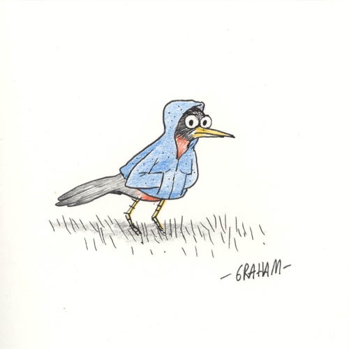 A cartoon illustration of a robin bird wearing a blue hoodie. 
