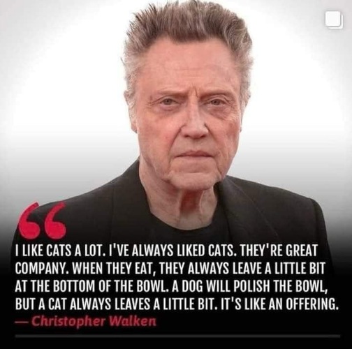 I LIKE CATS A LOT. I'VE ALWAYS LIKED CATS. THEY'RE GREAT COMPANY. WHEN THEY EAT, THEY ALWAYS LEAVE A LITTLE BIT AT THE BOTTOM OF THE BOWL. A DOG WILL POLISH THE BOWL, BUT A CAT ALWAYS LEAVES A LITTLE BIT. IT'S LIKE AN OFFERING. - Christopher Walken