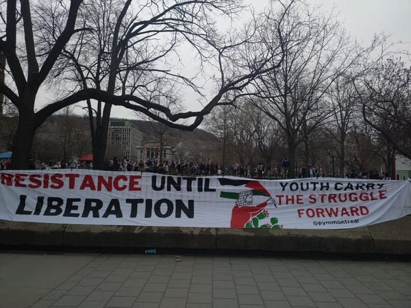 Big white banner, white a drawing of a man with red shirt wearing a keffiyeh, on McGill University fence saying: 

#Resistance until #Liberation

Youth carry the struggle forward 