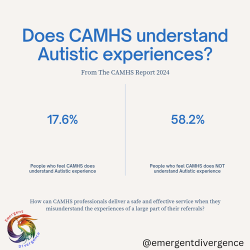 An image showing that 17.6% of people agreed that CAMHS understand Autistic experiences, compared to 58.2% who disagreed.