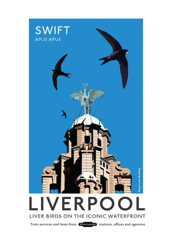 Poster of Liverpool depicting swifts flying above the Liver building 