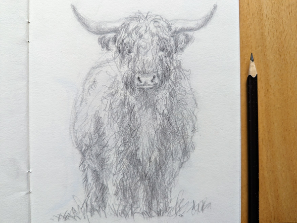 Standing Highland Cattle is a detailed pencil drawing showing a shaggy Highland cattle with distinctive horns and the typical long-haired pony above the eyes. The animal stands in a meadow and looks directly at the viewer. The artwork captures the texture of the cow's coat and the gentle facial expression with fine pencil strokes.
The drawing is part of my series consisting of four different pencil drawings of highland cattle. 
