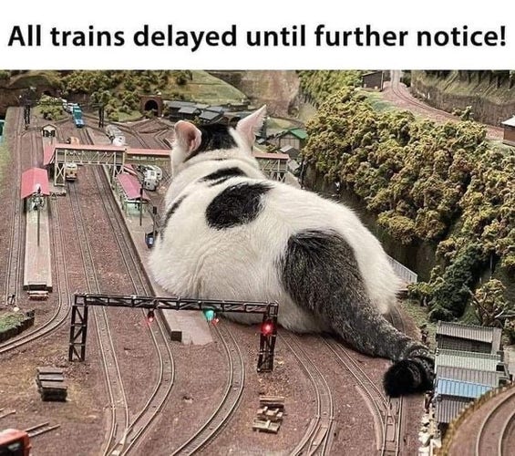All trains delayed until further notice!

There is a massive cat on the track (miniature trains)