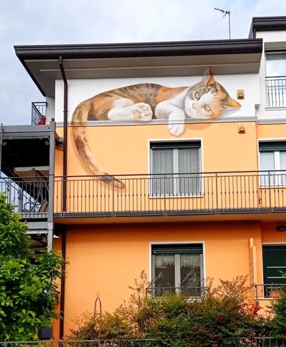 Streetartwall. A lying orange/white cat was sprayed/painted on the upper outer wall of a multi-storey orange building. The wall is divided into a narrow white section at the top and a lower orange section. The cat lies comfortably in the narrow upper part and lets its paw and tail hang down into the colored area towards the balcony.