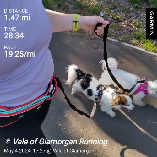 Alexis' torso in a pale purple athletics top, her arm out holding one dog lead and the other lead attached to a belt she is wearing. The dogs are jogging beside her in a shady area. Text overlaid reads "distance 1.47 miles. Time 28:34. Pace 19:25 mile. Vale of Glamorgan running."