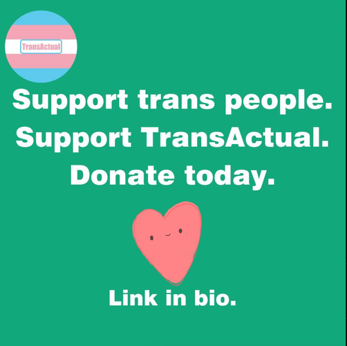 (Accessibility: Support trans people. Support TransActual. Donate today. Link in bio.)
