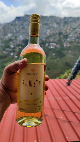 A bottle of wine is held against the backdrop of a city with hills. The wine is yellow in color and you have the 'Zumzin' brand written on it. 