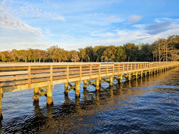 View of an old weathered boardwalk and pier leading from a shoreline lined with lush, full, colorful trees, extending far out into calm, dark river waters beneath a bright blue sky.