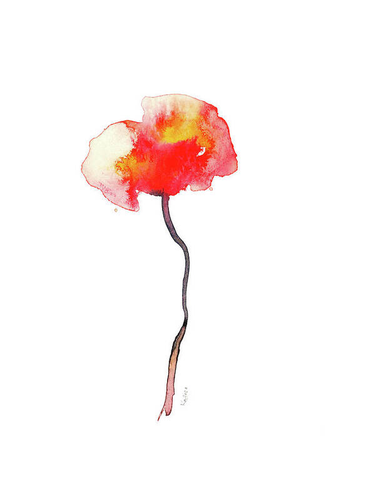 Single poppy is a watercolor painting in portrait format painted by artist Karen Kaspar. A beautiful single poppy flower in vibrant shades of red, orange and yellow is painted on a white background.