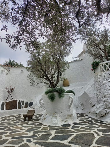 Jardin blanchie à la chaux de la maison Salvador Dalí - Portlligat 
