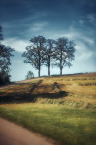 Intentional etwas unscharfes Foto von Bäumen hinter einem Feld
