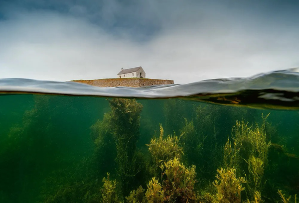 The Sacred Garden”-Gray Eaton. At the forefront of the image is sea algae that is submerged in the water and in the background there is a small chapel called ‘St Cwyfan‘ located on a small island called Cribinau in Llangadwaladr, Anglesey, Wales, UK.