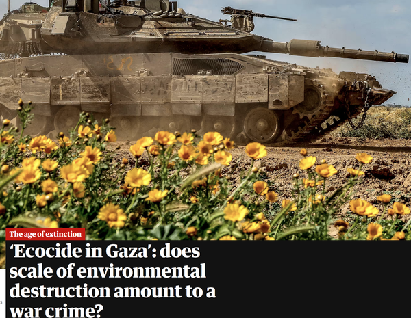 An Israeli tank passes wild flowers near Gaza borders. 