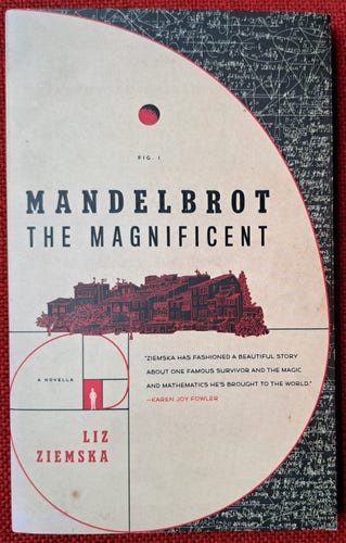 Book Liz Ziemska - Mandelbrot the Magnificent